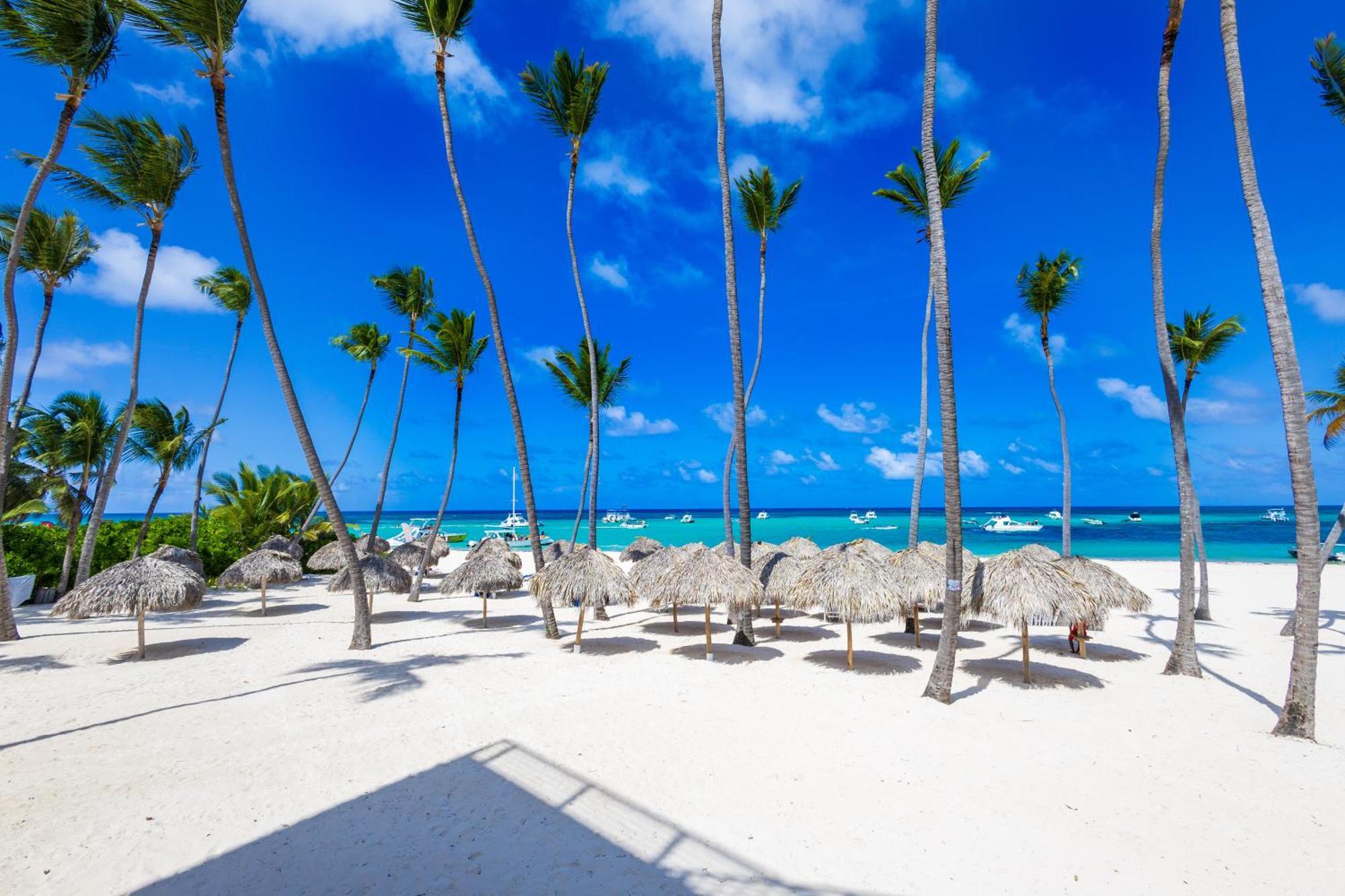 Prime Ocean View Punta Cana Apartments - 3-Bedroom Getaway With Private Terrace On Bavaro Beach מראה חיצוני תמונה